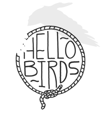 Hello Birds